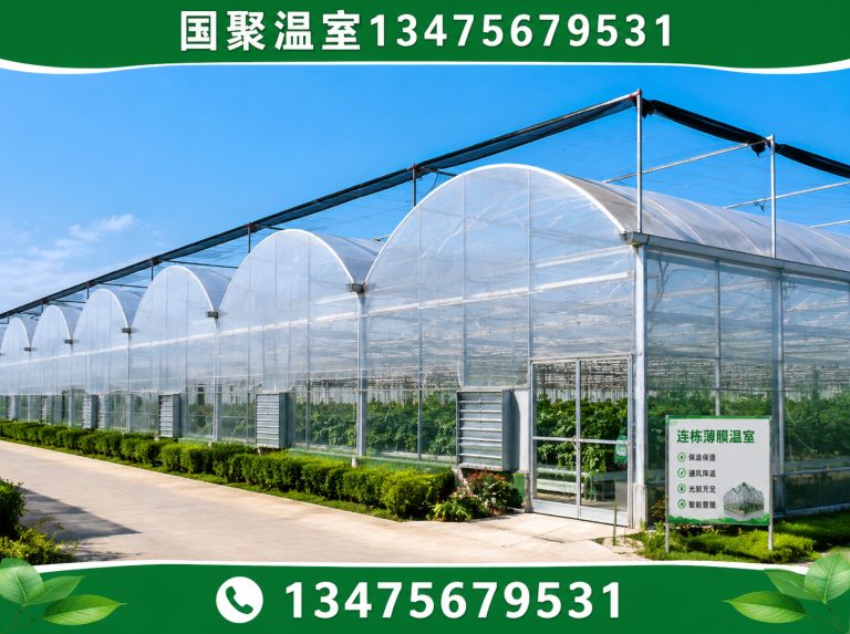 潍坊温室大棚厂家展示图