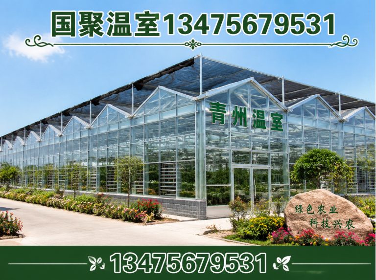 潍坊农业温室工程展示图